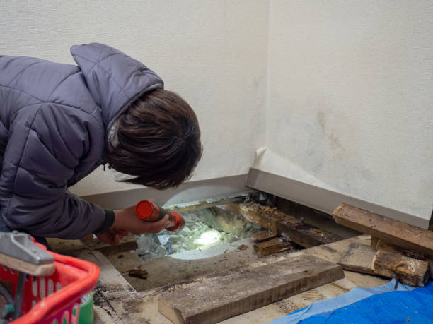 Best Biohazard Mold Removal  in Robbinsdale, MN
