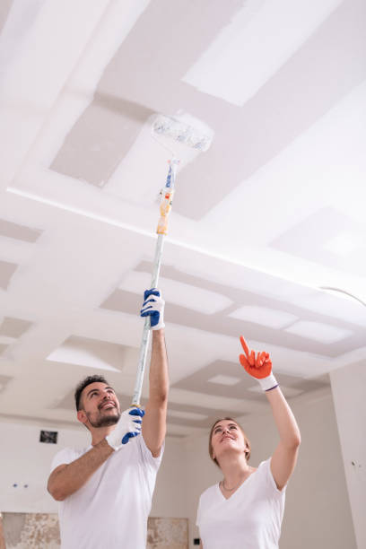 Best Mold Removal for HVAC Installations  in Robbinsdale, MN