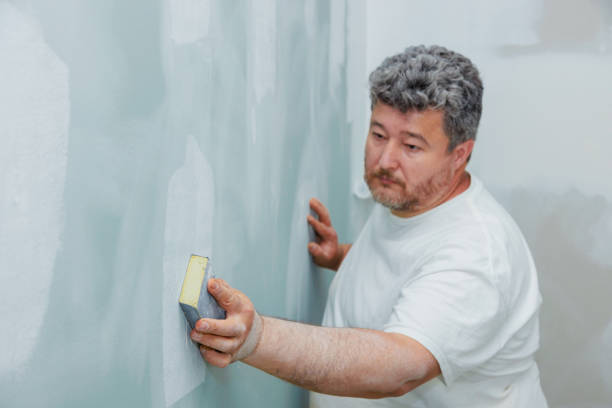 Best Environmental Consulting for Mold Prevention  in Robbinsdale, MN