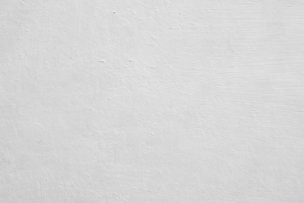 Best Emergency Mold Remediation  in Robbinsdale, MN