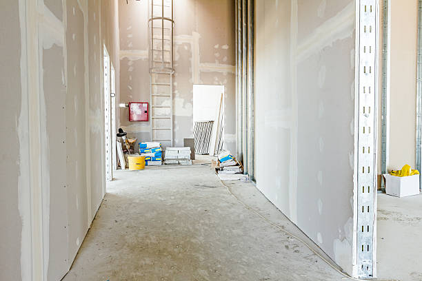  Robbinsdale, MN Mold Removal Pros